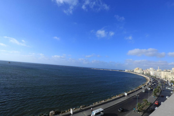 ويندسور بالاس